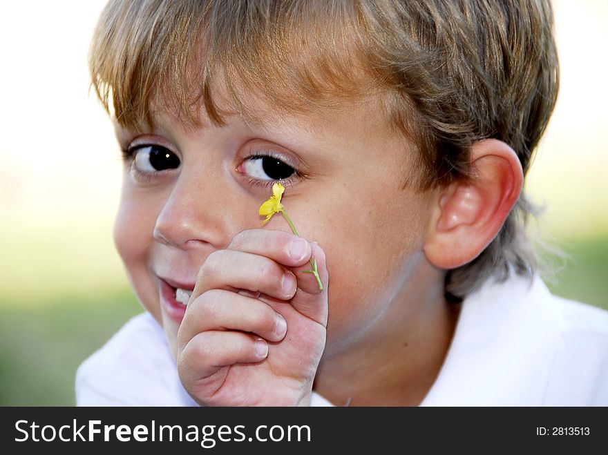Handsome young boy showing a yellow wildflower he picked from the yard. He has expressive eyes and a sweet smile. Handsome young boy showing a yellow wildflower he picked from the yard. He has expressive eyes and a sweet smile.