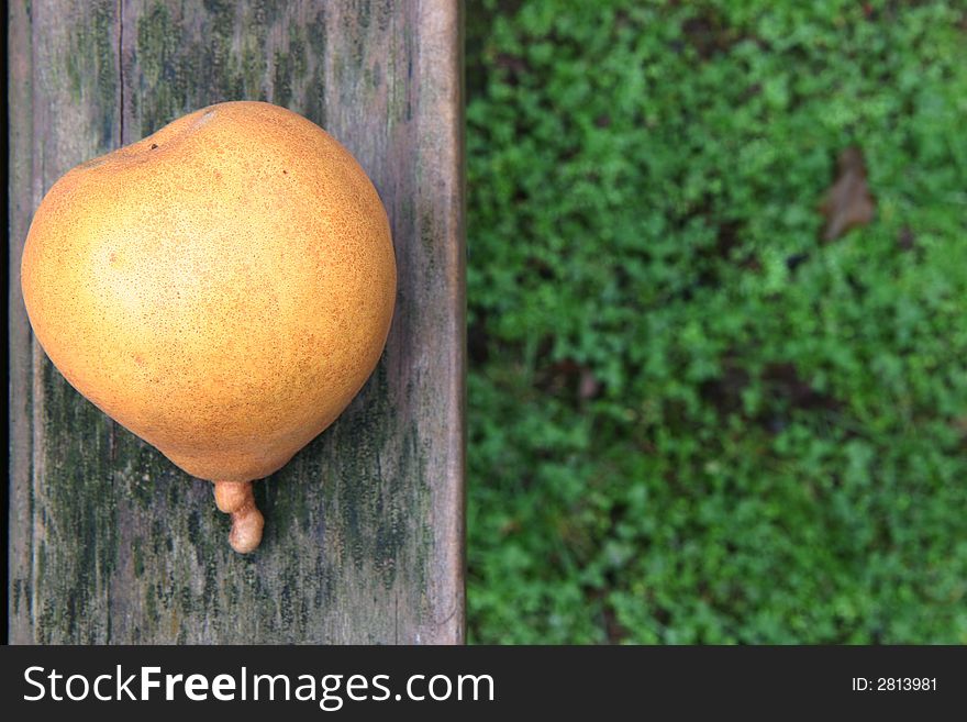 A yellow brown ripe pear on a weathered wooden park table