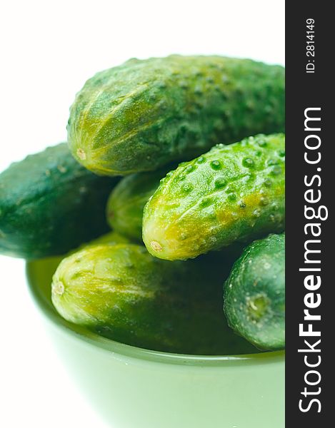 Plae plenty of green fresh cucumbers