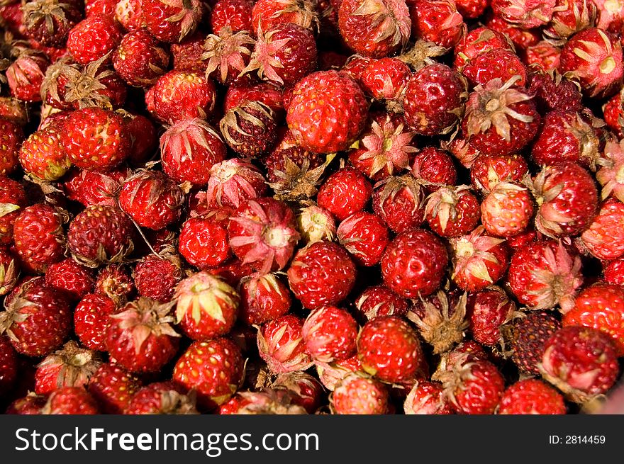 Big heap of forest strawberries