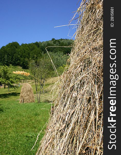 Summer landscape with hayrick