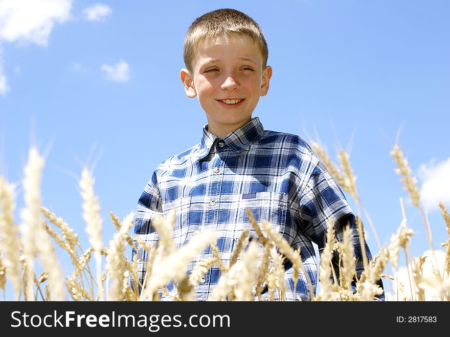 Boy in the middle of a wheaten field. Boy in the middle of a wheaten field