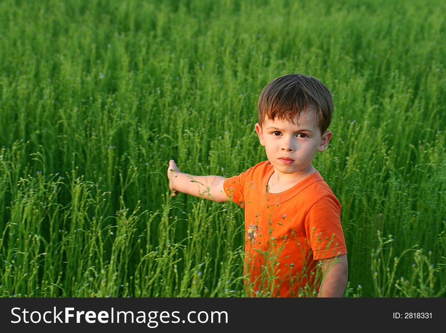 Sight of the boy among a green grass in the afternoon