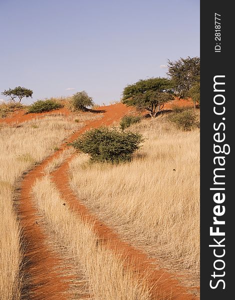 Sand dunes in Africa, desert