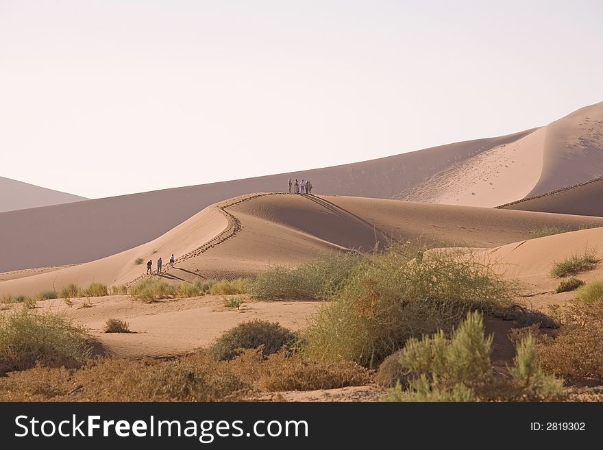 Sand dunes in Africa, desert