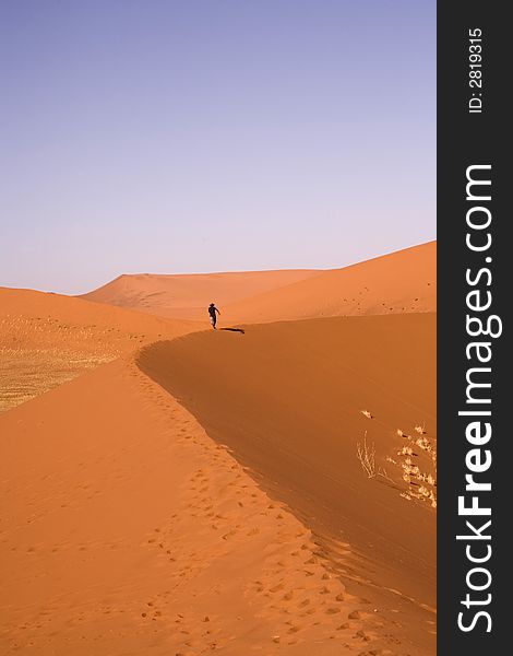 Sand dunes in Africa, desert