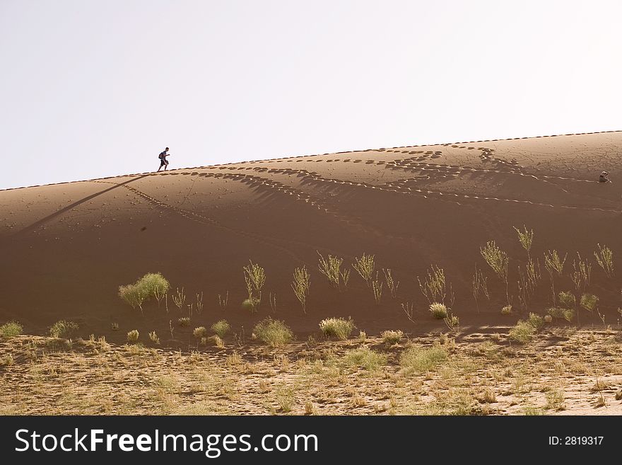 Sand dunes in Africa, desert