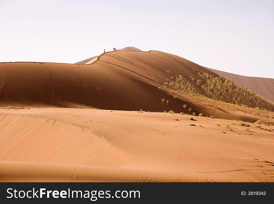 Sand dunes in Africa, desert