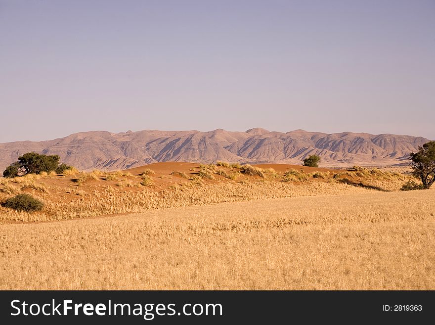 Sand dunes in Africa, desert