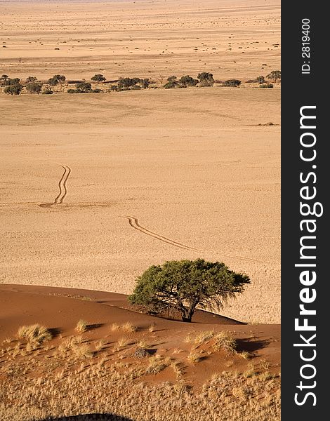 Sand dunes in Africa, desert