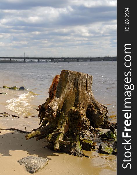 Stump on the river-bank and city bridge on background. Stump on the river-bank and city bridge on background