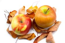 Autumn Apples And Yellow Leaves Royalty Free Stock Image