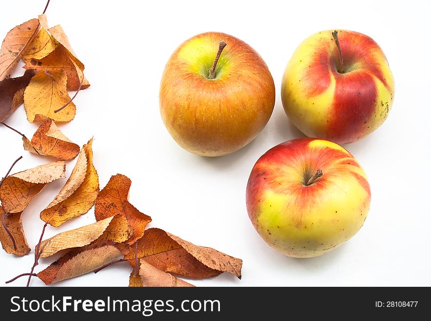 Three Jonathan apples and some yellow leaves in a fall decoration isolated white. Three Jonathan apples and some yellow leaves in a fall decoration isolated white