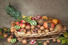 Autumn Fruits Stock Image Autumn Fruits Stock Image