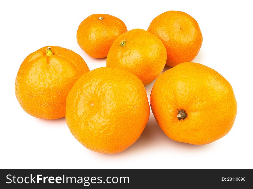 Tangerine many on white background. Tangerine many on white background