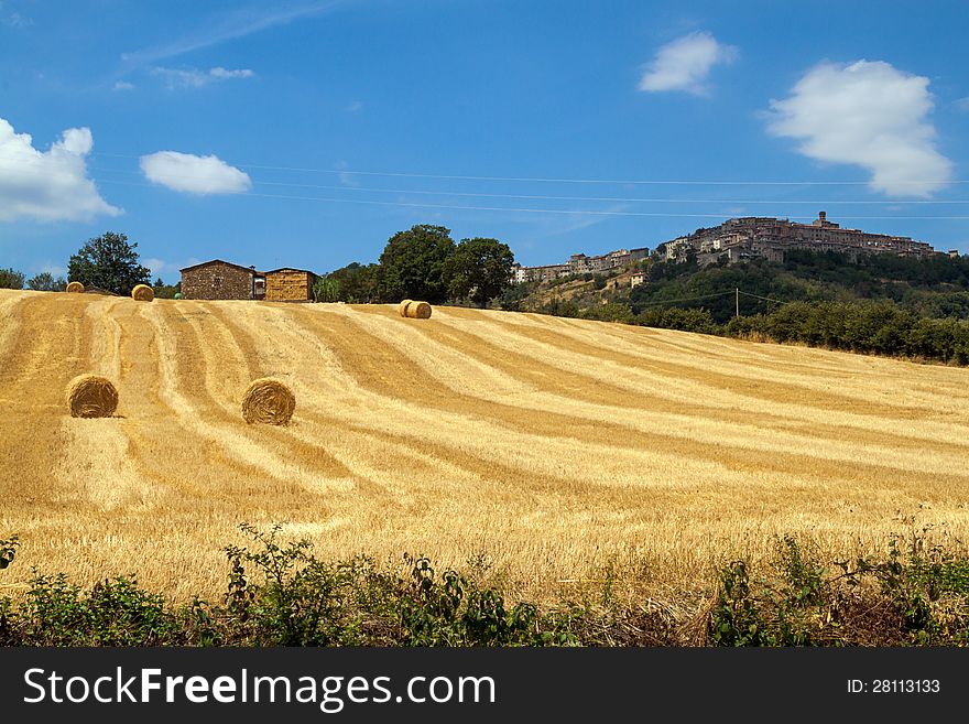 Tuscan landscape in a summer afternoon, Siena, Tuscany, Italy