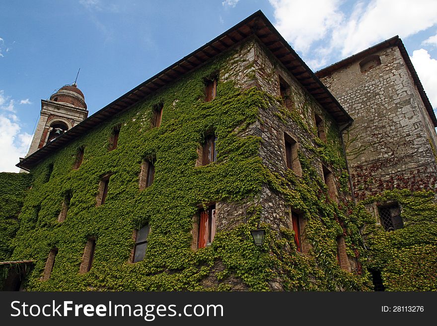 Ivy-covered House In Tuscany