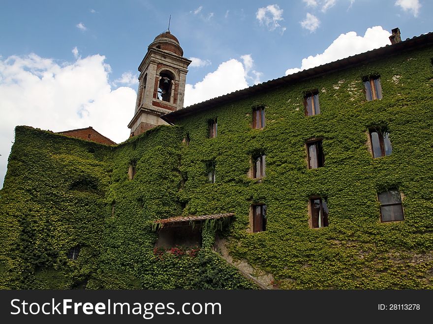 Ivy-covered house in Tuscany, Italy