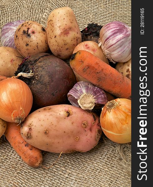 Raw Vegetables with Potato, Carrot, Beet, Onion and Garlic closeup on Sacking background