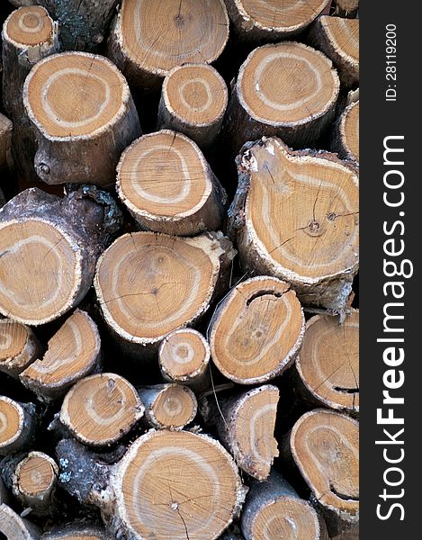 Background of Neatly Stacked Round Logs closeup outdoors. Background of Neatly Stacked Round Logs closeup outdoors