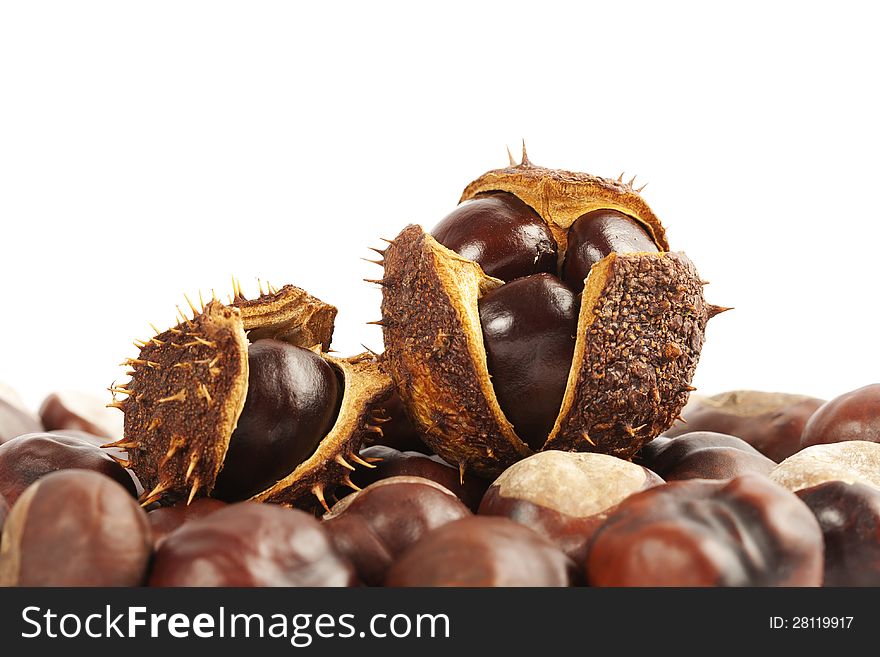 Chestnuts In Shell On White Background