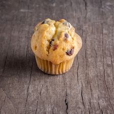 Chocolate Chip Muffin Stock Photography Chocolate Chip Muffin Stock Photography