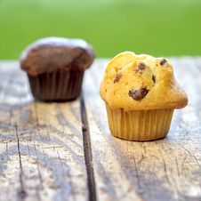 Chocolate Chip Muffins Royalty Free Stock Photo Chocolate Chip Muffins Royalty Free Stock Photo