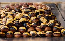 Grilled Chestnuts Stock Images Grilled Chestnuts Stock Images