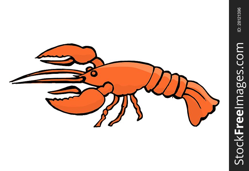 Hand drawn,  illustration of a lobster