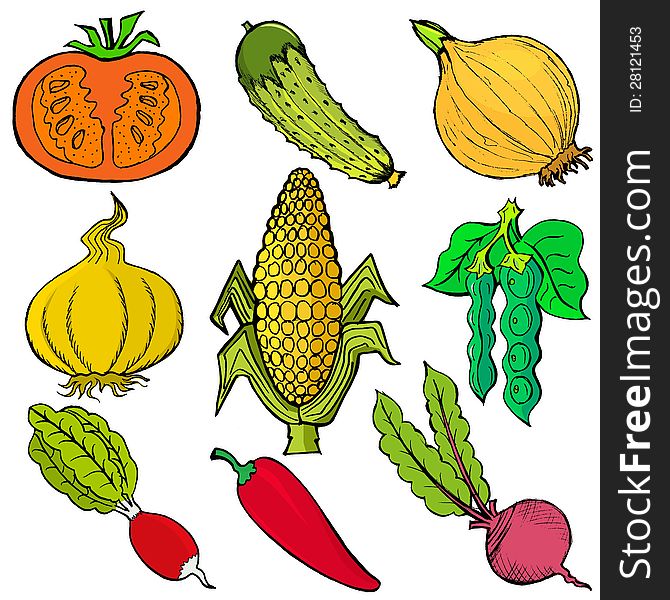 Set of hand drawn, , cartoon illustration of vegetables