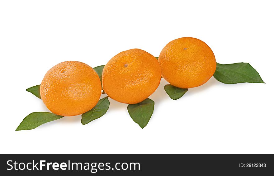 Fresh tangerines with green leaves isolated on white background