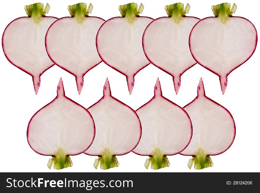 Radish slices with cut leaves  are equal numbers against white background. Radish slices with cut leaves  are equal numbers against white background