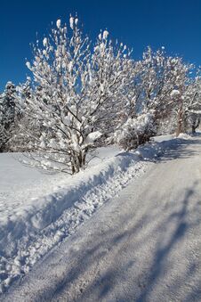 Snow-covered Road In Forest Stock Images Snow-covered Road In Forest Stock Images