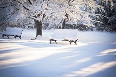 Beautiful Winter Scene Royalty Free Stock Photography