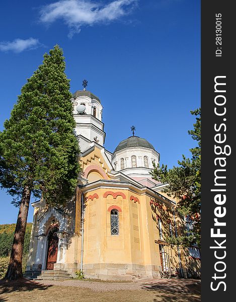 Small ortodox church with pine in foreground