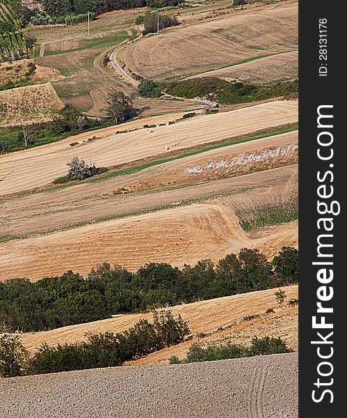 Agriculture landscape with plowed fields