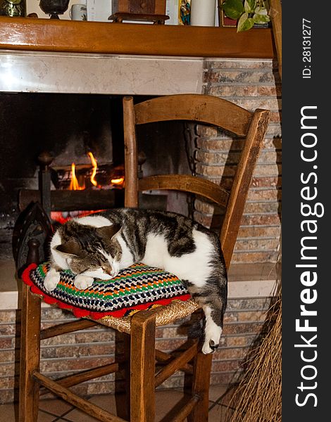 A Cat Sleeping On A Chair
