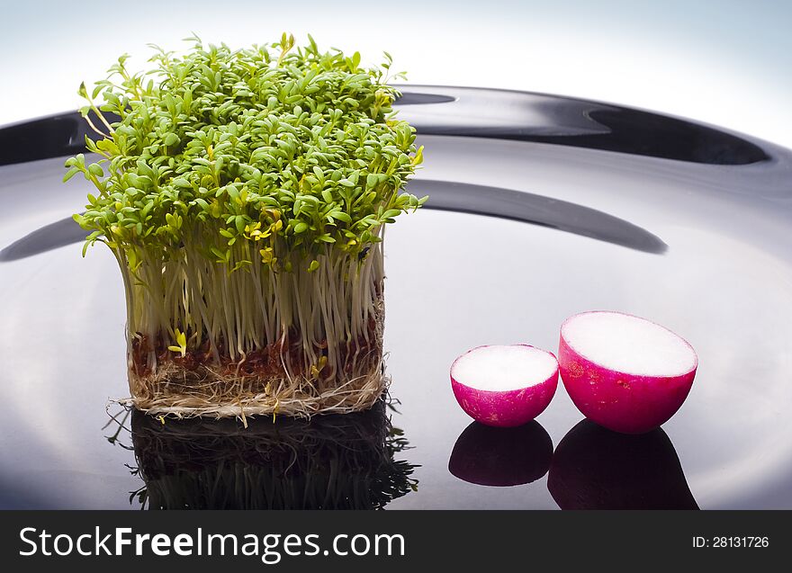 Shoots of cress and slices of radish on a black glossy dish. Shoots of cress and slices of radish on a black glossy dish.