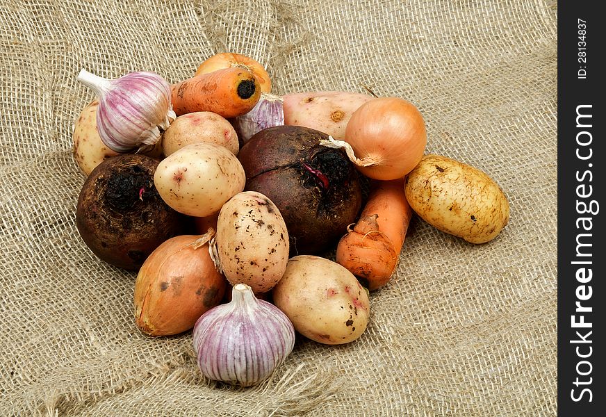 Heap of Raw Vegetables with Potato, Beet, Onion, Garlic and Carrot closeup on Sacking background. Heap of Raw Vegetables with Potato, Beet, Onion, Garlic and Carrot closeup on Sacking background