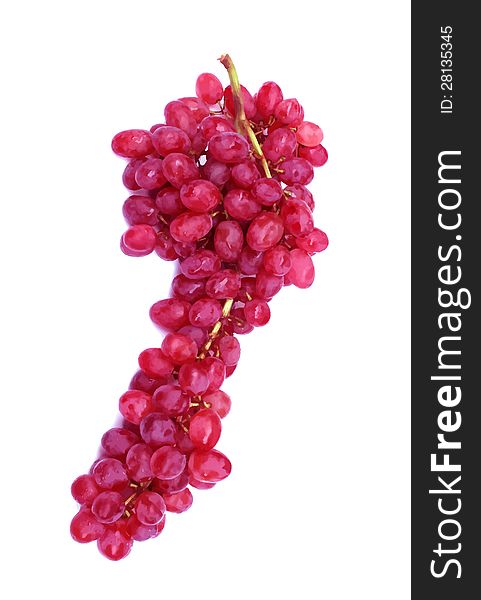 Red Grape isolated on white background for a fruit pocket label