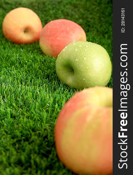 Apples On The Grass