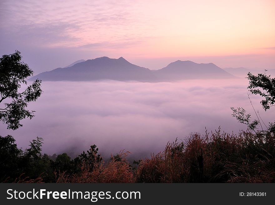 Fog at the mountain in leoy, thailand. Fog at the mountain in leoy, thailand