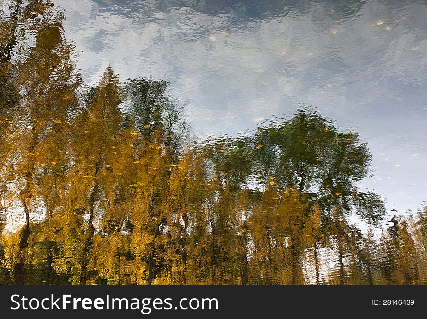 Landscape Reflection In Lake