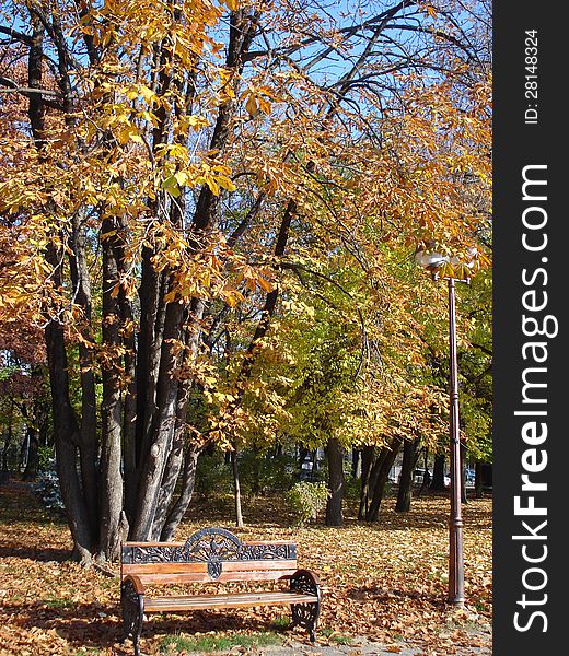 Bench, lamp and trees in the park in autumn. Bench, lamp and trees in the park in autumn