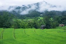 Terraced Rice Farm In Country Side Stock Photos Terraced Rice Farm In Country Side Stock Photos