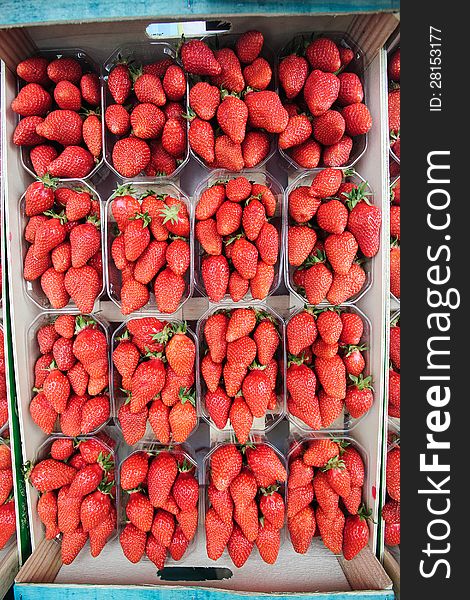 Strawberries in a box in france province