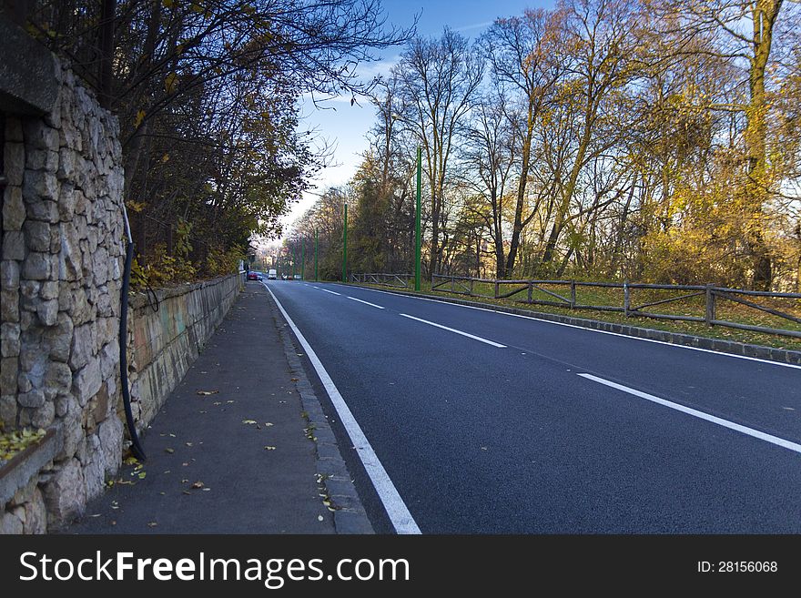 Road Through The Autumn Forest