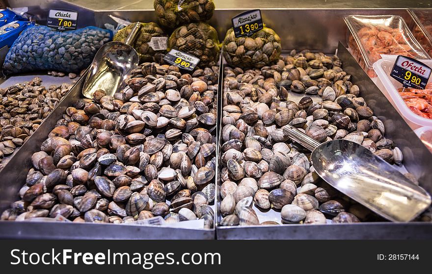 Clams at a marketplace in Bilbao city. Clams at a marketplace in Bilbao city