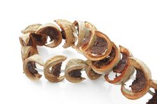 Dry Betal Palm / Dry Betal Nut Fruit Royalty Free Stock Photos Dry Betal Palm / Dry Betal Nut Fruit Royalty Free Stock Photos