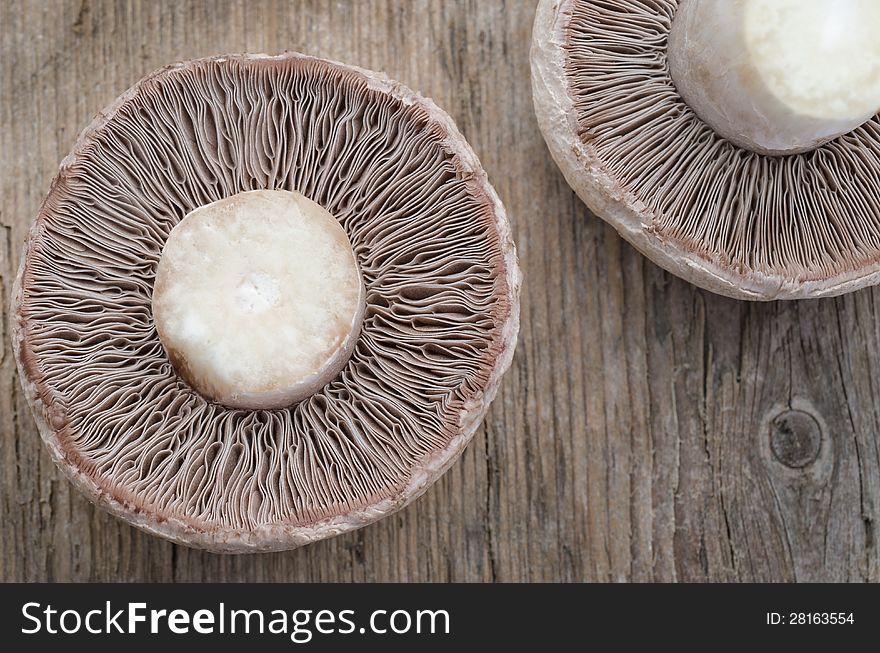 Mushroom champignon on wood texture ,a view from the bottom